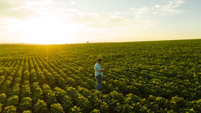 Indústria e agro lideram redes privativas no Brasil; educação têm atraso